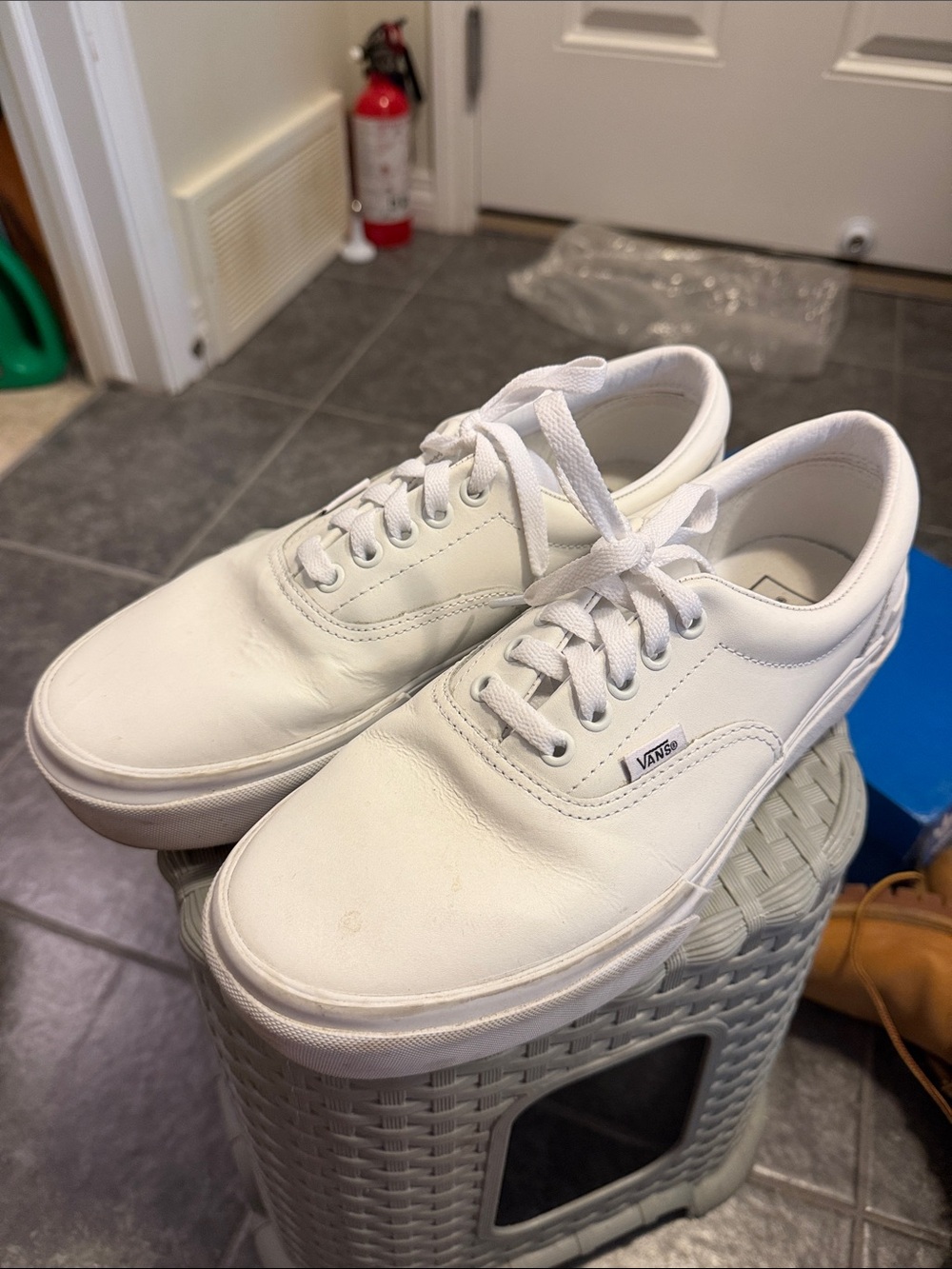 Vans White Low-Top Canvas Sneakers